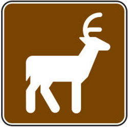 Deer Viewing Area Sign