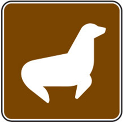 Seal Viewing Sign