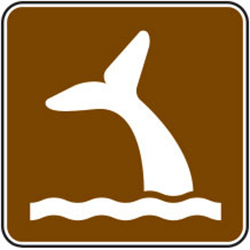 Whale Viewing Sign