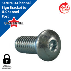 Vandal Resistant Button Head Bolt