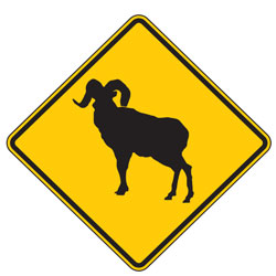 Bighorn Sheep Crossing (Symbol) Warning Signs