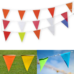 Colored Pennant Flag Strings